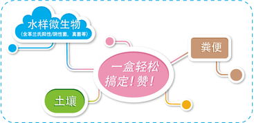 磁珠家族新成员 生工生物为生命科学提供更全面的产品与技术服务