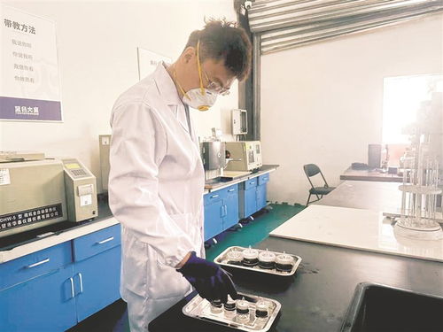 科技创新驱动县域经济转型升级 技术服务的关键作用