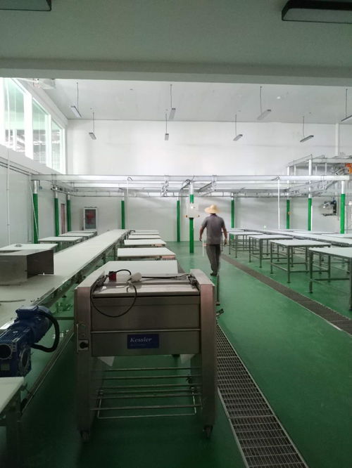 凯斯乐屠宰设备与肉类深加工设备成功落户云南某厂，全面进入安装调试阶段